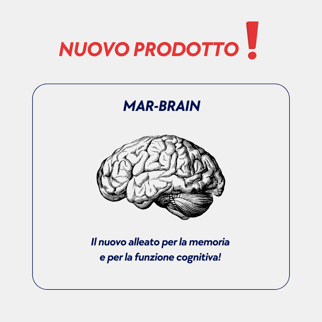 Scopri Mar-Brain: il nuovo alleato per la memoria e per la funzione cognitiva!